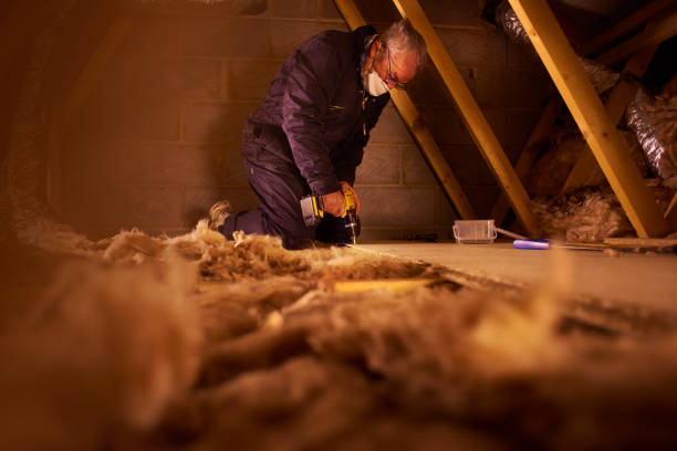 Best Blown-in Insulation  in Lindstrom, MN
